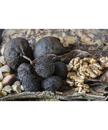 Buy Indigo Herbs Black Walnut Shells 50g - Chunks & Powder for Natural Wellness | International Shipping - Buy Online on SooperMarket.com