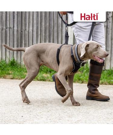 Halti No Pull Anti-Zug Dog Harness - Large Reflective Padded Chest & Easy Adjustment for Comfortable Leash Training - Buy Online on SooperMarket.com