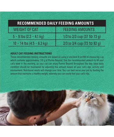 Purina Beyond Grain-Free Ocean Whitefish & Egg Cat Food 3lb - Natural Adult Dry Food - Buy Online on SooperMarket.com