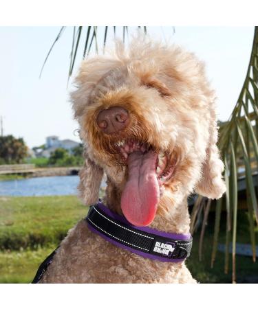 Black Rhino Comfort Collar - Super Soft Neoprene Dog Collar for All Breeds | Adjustable Reflective Weatherproof - Medium Purple/Black - Buy Online on SooperMarket.com