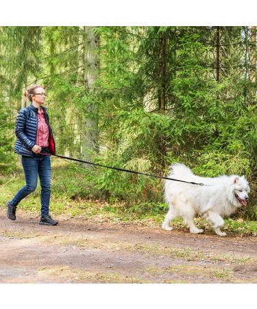 Pet Prime 10m Long Dog Training Lead with Padded Handle - Heavy Duty Nylon Leash for Small, Medium & Large Dogs - 1 Inch Wide - Buy Online on SooperMarket.com