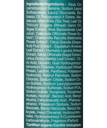 JASON NATURAL COSMETICS Tea Tree Oil Therapy Shampoo 540 ML - Best Natural Shampoo for Healthy Hair | International Shipping Available - Buy Online on SooperMarket.com