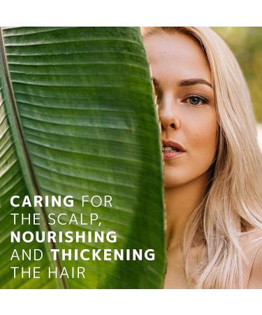 Orientana Organic Henna Powder for Short Hair | 100% Natural & Vegan Hair Conditioner | Colorless Sulfate & Paraben-Free | Strengthens Hair - 50g - Buy Online on SooperMarket.com