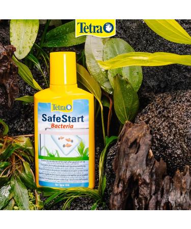 Tetra SafeStart Aquarium Starter - with live nitrifying bacteria allows the rapid introduction of fish in an aquarium 50 ml bottle. 50 ml (Pack of 1) Single - Buy Online on SooperMarket.com