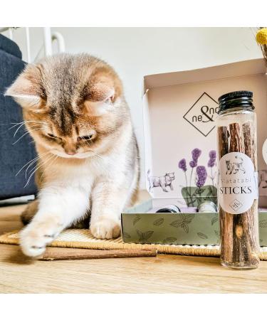 Buy Ne & No Gift Set with Natural Matatabi Sticks | 24 Dental Care Cat Sticks | Perfect Treats for Cats | International Shipping - Buy Online on SooperMarket.com