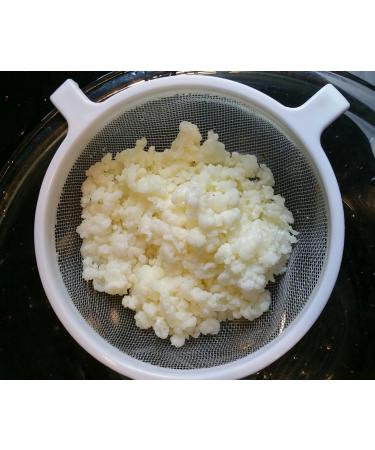 Organic Raw Milk Kefir Grains - Live Probiotics for Gut Health - Buy Online on SooperMarket.com