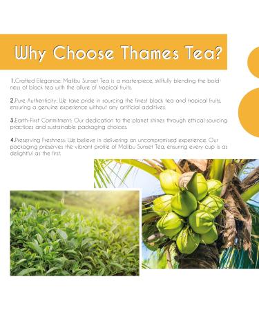 Thames Tea Premium Selection: Malibu Sunset Tropical Fruit Loose Leaf Tea in Tubebox - Buy Online on SooperMarket.com