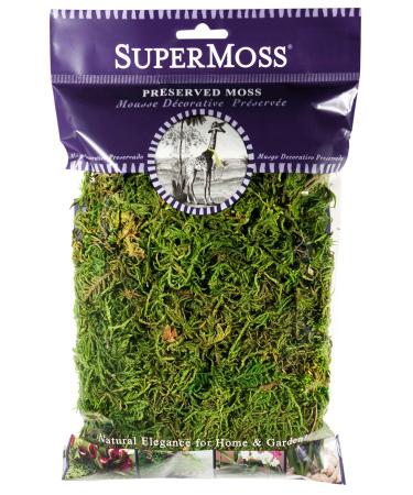SuperMoss (25320) Forest Moss Preserved, Fresh Green, 2oz