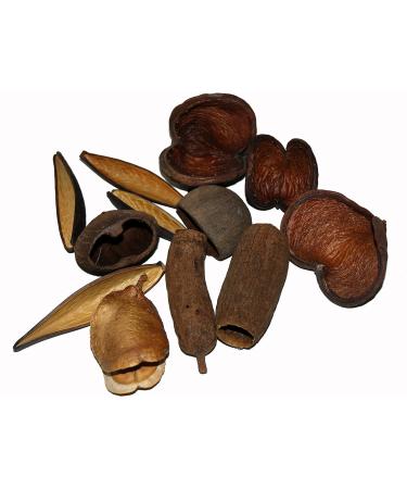 Lucky Reptile DB-01 Nature's Treasure Decor Box - Buy Online on SooperMarket.com