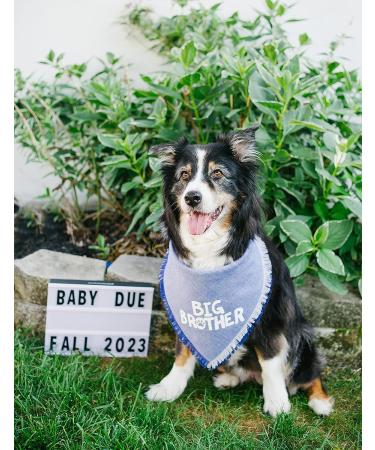 Blue Big Brother Dog Bandana for Pregnancy Announcement - Pet Photo Prop & Handkerchief for Medium to Large Dogs - Buy Online on SooperMarket.com