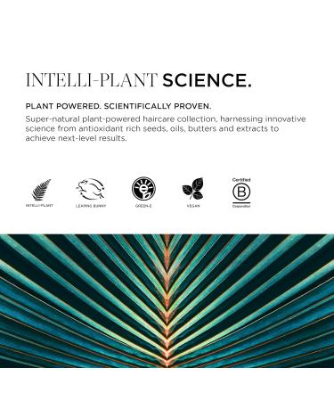 Buy Intelligent Nutrients Fortifi-Hair Shampoo - Vegan Moisturizing Plant-Based Formula for Dry Damaged Hair - 8.5 Oz | International Shipping Available - Buy Online on SooperMarket.com