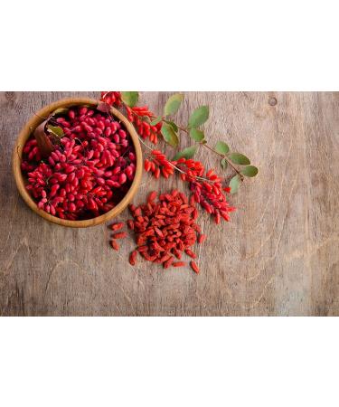 6 lbs Goji Berries | Non-GMO, Sun-Dried & Juicy | High in Iron, Vitamins A & C | Vegan Fruit Snack for Baking, Tea, Smoothie & Yogurt | Bulk Pack of 1 - Buy Online on SooperMarket.com