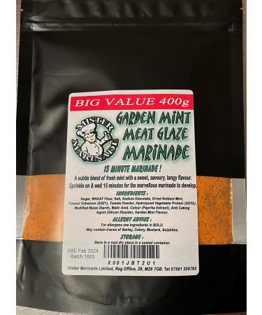 MISTER MARINADE Meat Glaze Marinade Big Value 400g BBQ Seasoning (Garden Mint) Garden Mint 400 g (Pack of 1)