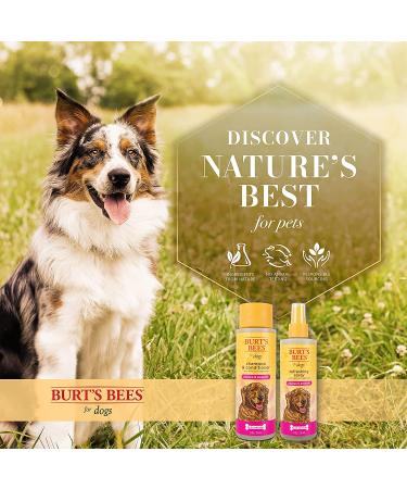 Burt's Bees 2-in-1 Dog Shampoo & Conditioner with Papaya & Awapuhi | Deodorizing Spray | Dog Bathing Supplies - 8 oz - Buy Online on SooperMarket.com
