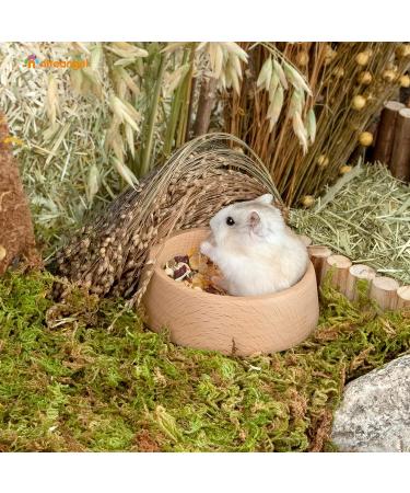 Niteangel Wooden Hamster Feeding Bowl - Small Animal Food Dish for Dwarf Syrian Hamsters Gerbils Mice Degus or Other Similar-Sized Small Pets (Hammy Pattern for Dwarf) Beige Hammy Pattern For Dwarf - Buy Online on SooperMarket.com