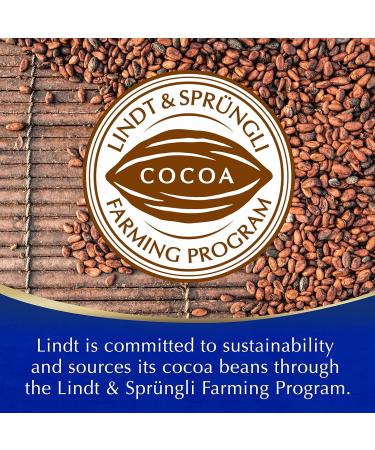 Lindt Hot Chocolate 300g: Premium Single Serve Indulgence - Buy Online on SooperMarket.com