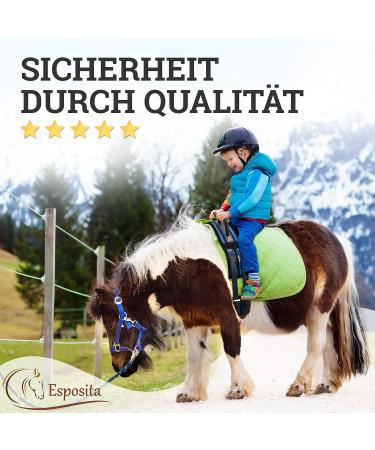 Esposita Riding Strap with Leather Handles | Versatile Lunging & Vaulting Belt | Blue-Black Wooden Horse Accessory - Buy Online on SooperMarket.com