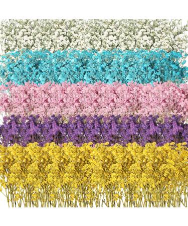 100 Pcs Dried Babys Breath Flowers Bulk Dried Flowers Natural Gypsophila Branches for Card Making  Resin Art DIY Craft  Gifts Wrap  Pressed Gypsophila Mixed Color Dried Baby's Breath Flowers