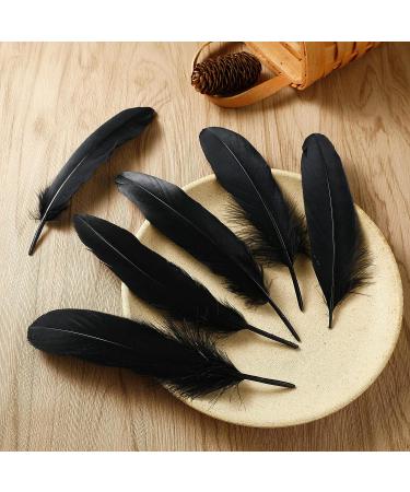 Ballinger Black Craft Feathers Bulk - 120Pcs 6-8 Inch Real Goose Feathers for DIY Halloween Decor, Jewelry, Cosplay & Clothing - Buy Online on SooperMarket.com