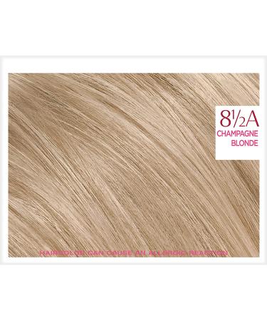 L'Oreal Paris Excellence Creme 8.5A Champagne Blonde Hair Color - Gray Coverage, All Hair Types - 1 Pack - Buy Online on SooperMarket.com
