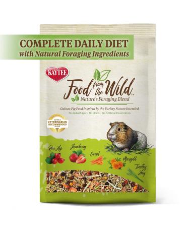 Kaytee Food from The Wild Guinea Pig4 lb