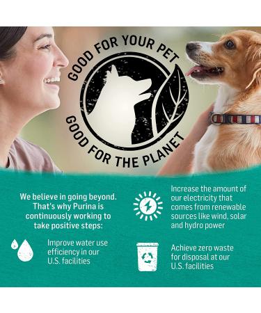 Purina Beyond Grain Free Wet Dog Food â€“ Ocean Whitefish, Salmon & Sweet Potato (12 Cans, 13 oz Each) - Buy Online on SooperMarket.com