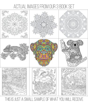 Adult Coloring Books Set - 120 Unique Designs for Grownups - Animals, Scenery, Mandalas. Perfect for Adults Relaxation - Buy Online on SooperMarket.com