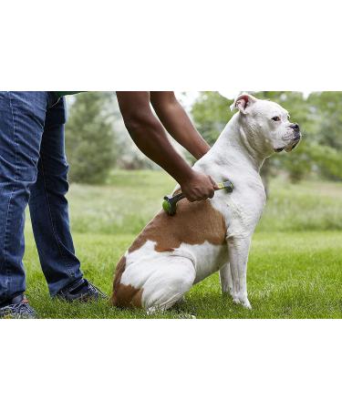 PetWell Dual Point Handheld Massage Roller for Dogs & Cats - Buy Online on SooperMarket.com