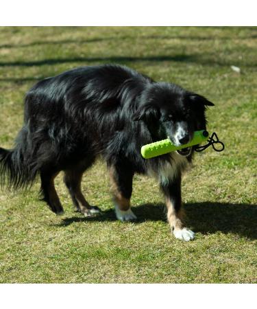 Procyon Snack Dummy Silicone | Soft Hollow Weatherproof & Hygienic Retrieving Dummy - Dishwasher Safe - Green - Buy Online on SooperMarket.com