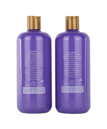 Moisture Renewal Anti Dandruff Shampoo & Conditioner Set | Organic Itchy Scalp Treatment for All Hair Types - 100% Natural & Safe - Buy Online on SooperMarket.com