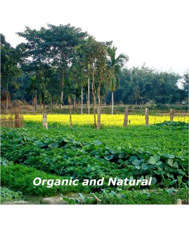 Blessfull Healing Organic Rai (Brown Mustard) 200 Gram Airtight Container (Packing May Vary) 200 Gram 7.05 oz - Buy Online on SooperMarket.com
