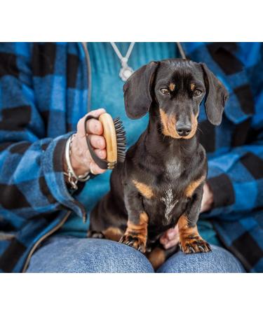 Mikki Bamboo Moulting Massage Palm Brush for Gentle Grooming | Handmade Sustainable Bamboo Brush for Dog Cat Puppy with Short Medium Coats - Buy Online on SooperMarket.com