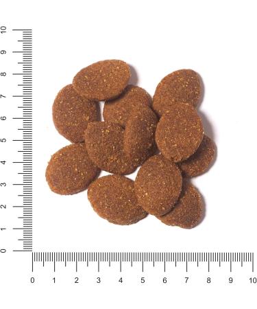 Hunger of the Wolf Dog Food for Large Breeds - 3kg Dry Chicken Formula for Joint Health | Adult Dogs - Buy Online on SooperMarket.com