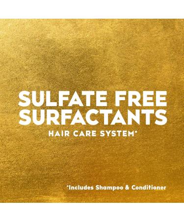 OGX Argan Oil of Morocco Sulfate Free Shampoo for Dry Hair 385ml (Pack of 2) Blue 385 millilitre (Pack of 2) - Buy Online on SooperMarket.com
