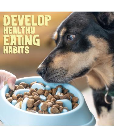 Purrfects Slow Feeder Dog Bowl (Sky Blue) - Anti Choke and Bloat - Dog Slow Feeder for Slower Feeding - Buy Online on SooperMarket.com