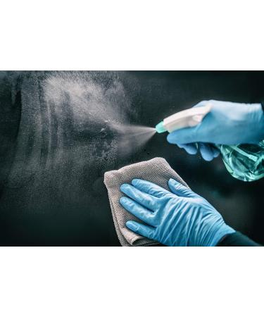 BeeSure BE1118 Nitrile Powder Free Exam Gloves Large (Pack of 100) - 100 Count - Buy Online on SooperMarket.com