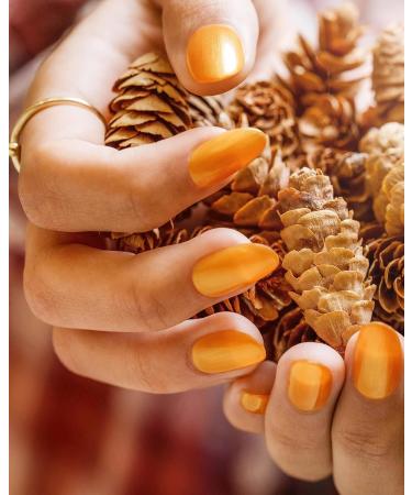 Morgan Taylor Fall 2023 (Golden Hour Glow) 15ml - Buy Online on SooperMarket.com