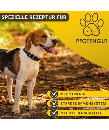 Pfotengut Vitamin B Complex for Dogs & Cats - 120 Tablets Made in Germany High-Dose B Vitamins for Optimal Health - Supports Energy & Vitality - Buy Online on SooperMarket.com