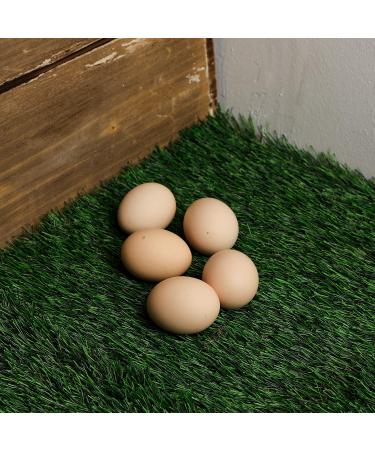 MEEXPAWS Chicken Nesting Box Pads 12x12 - Artificial Grass, Sturdy & Washable - 2 Count - Buy Online on SooperMarket.com