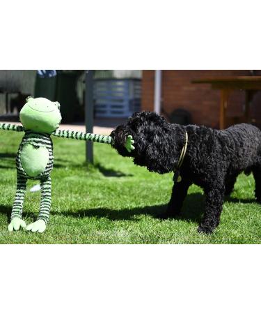 Rosewood FROGGY LONG LEGS Green Froggy Long Legs One Size (Pack of 1) - Buy Online on SooperMarket.com
