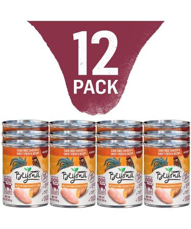 Purina Beyond Grain Free Wet Dog Food in Gravy - Chicken & Sweet Potato, 12.5 oz Cans (12-Pack) - Buy Online on SooperMarket.com