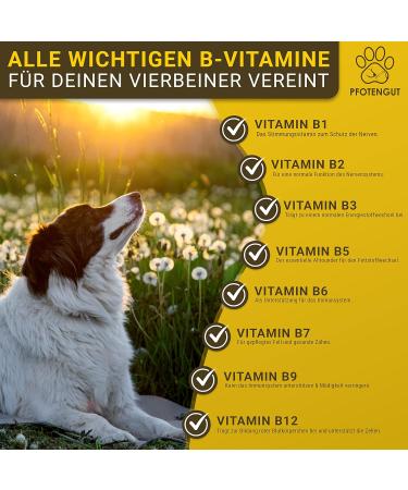 Pfotengut Vitamin B Complex for Dogs & Cats - 120 Tablets Made in Germany High-Dose B Vitamins for Optimal Health - Supports Energy & Vitality - Buy Online on SooperMarket.com