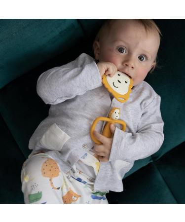 Matchstick Monkey Antimicrobial Teething Starter Set - Flat Face & Animal Teethers, Silicone Finger Toothbrushes - Ludo Lion Design, 3 Months - Buy Online on SooperMarket.com