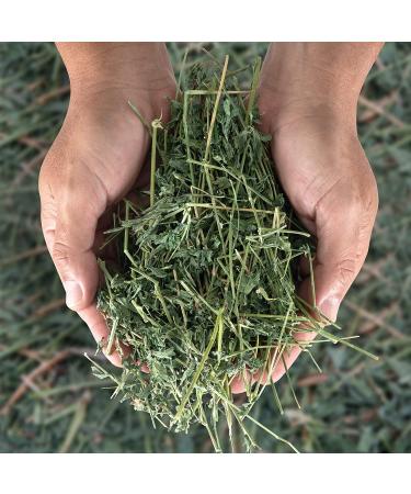 Dried Natural Alfalfa Hay for Rabbits, Guinea Pigs, Chinchillas & Ferrets - Protein and Fiber-Rich Food - 5 lb Pack - Healthy Pet Food - Buy Online on SooperMarket.com