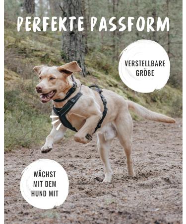 Rudel King Dog Harness Paola - Reflective Adjustable Harness for Small Dogs & Puppies - S Black with Handle - Buy Online on SooperMarket.com