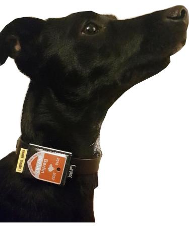 Josi.li Pocket for Dogs - Nappa Leather 30x40mm Waterproof 6 Colors 2 Compartments Velcro Fastener Perfect for Collars Up to 30mm - Buy Online on SooperMarket.com