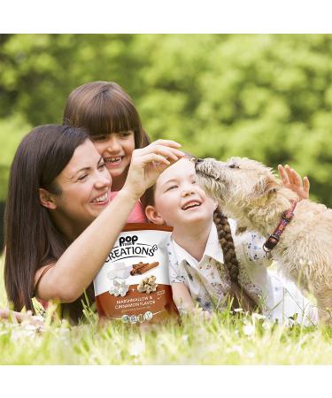 Poptime Creations Popcorn - Marshmallow & Cinnamon, 5oz (6 Pack) | Vegan, Gluten-Free, Non-GMO, Kosher - Buy Online on SooperMarket.com