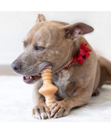Benebone Zaggler Rolling Dog Chew Toy - Real Bacon Flavor, Made in USA - Medium Size for Aggressive Chewers - Buy Online on SooperMarket.com