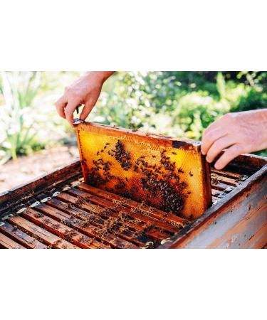 Organic Bee Bread (Perga) - ImkerPur | 200g Residue-Free Fermented Flower Pollen - Buy Online on SooperMarket.com