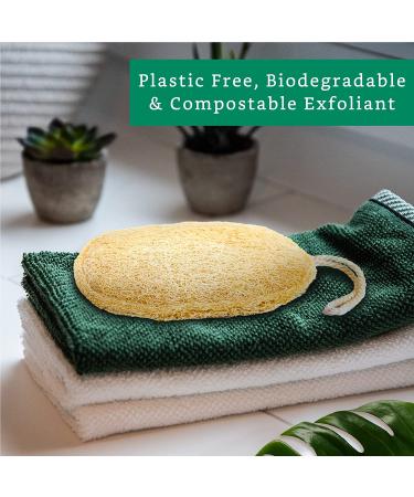 Organic Loofah Exfoliating Sponge (3 Pack) - Natural Body Scrubber - Biodegradable Bath Luffa Sponges - Buy Online on SooperMarket.com